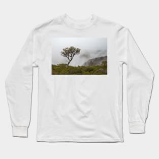 Tree on Bluff Knoll Long Sleeve T-Shirt